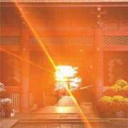 ヒメ日記 2025/06/23 08:10 投稿 まい ご近所物語