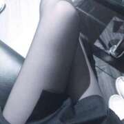 ヒメ日記 2025/07/08 09:35 投稿 まい ご近所物語