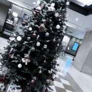 ヒメ日記 2025/11/15 02:37 投稿 まい ご近所物語