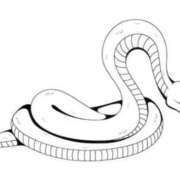 ヒメ日記 2026/02/22 06:52 投稿 まい ご近所物語