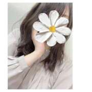 ヒメ日記 2025/07/10 03:58 投稿 さやか 東京リップ 上野店