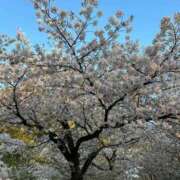 ヒメ日記 2026/04/06 17:12 投稿 きき 美白ギャル！！ ウエスト・コム