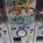 ヒメ日記 2025/05/04 12:07 投稿 ことり 洗練された極上ガール！ ウエスト・コム