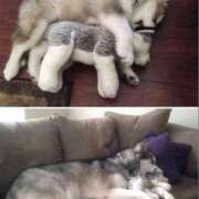 ヒメ日記 2025/05/16 09:16 投稿 ことり 洗練された極上ガール！ ウエスト・コム