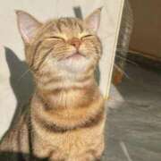 ヒメ日記 2025/05/18 06:16 投稿 ことり 洗練された極上ガール！ ウエスト・コム