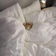 ヒメ日記 2025/05/23 09:06 投稿 ことり 洗練された極上ガール！ ウエスト・コム