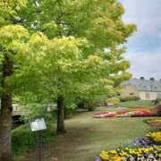 ヒメ日記 2025/05/23 10:26 投稿 ことり 洗練された極上ガール！ ウエスト・コム