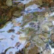 ヒメ日記 2025/05/24 07:26 投稿 ことり 洗練された極上ガール！ ウエスト・コム