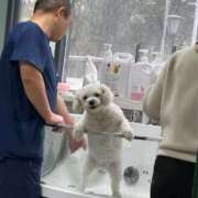 ヒメ日記 2025/05/24 14:18 投稿 ことり 洗練された極上ガール！ ウエスト・コム