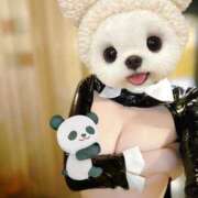 ヒメ日記 2025/05/24 19:16 投稿 ことり 洗練された極上ガール！ ウエスト・コム