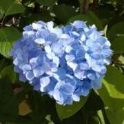 ヒメ日記 2025/07/02 07:06 投稿 ことり 洗練された極上ガール！ ウエスト・コム