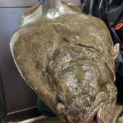 ヒメ日記 2025/07/04 17:17 投稿 ことり 洗練された極上ガール！ ウエスト・コム