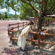 ヒメ日記 2025/07/11 07:36 投稿 ことり 洗練された極上ガール！ ウエスト・コム