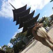 ヒメ日記 2025/07/13 11:41 投稿 ことり 洗練された極上ガール！ ウエスト・コム