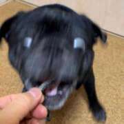 ヒメ日記 2025/07/18 19:04 投稿 ことり 洗練された極上ガール！ ウエスト・コム