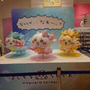 ヒメ日記 2025/07/19 14:26 投稿 ことり 洗練された極上ガール！ ウエスト・コム