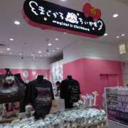 ヒメ日記 2025/07/19 16:36 投稿 ことり 洗練された極上ガール！ ウエスト・コム