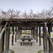 ヒメ日記 2025/07/23 00:28 投稿 ことり 洗練された極上ガール！ ウエスト・コム