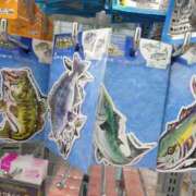 ヒメ日記 2025/07/26 09:46 投稿 ことり 洗練された極上ガール！ ウエスト・コム