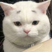 ヒメ日記 2025/07/26 14:19 投稿 ことり 洗練された極上ガール！ ウエスト・コム