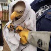 ヒメ日記 2025/08/01 12:56 投稿 ことり 洗練された極上ガール！ ウエスト・コム