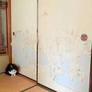 ヒメ日記 2025/08/07 00:56 投稿 ことり 洗練された極上ガール！ ウエスト・コム