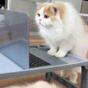 ヒメ日記 2025/08/09 10:46 投稿 ことり 洗練された極上ガール！ ウエスト・コム