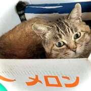 ヒメ日記 2025/08/09 12:16 投稿 ことり 洗練された極上ガール！ ウエスト・コム