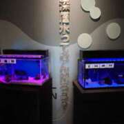 ヒメ日記 2025/08/15 00:16 投稿 ことり 洗練された極上ガール！ ウエスト・コム