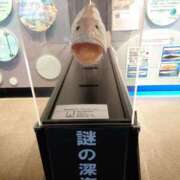 ヒメ日記 2025/08/15 00:29 投稿 ことり 洗練された極上ガール！ ウエスト・コム