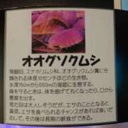 ヒメ日記 2025/08/15 00:50 投稿 ことり 洗練された極上ガール！ ウエスト・コム