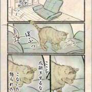 ヒメ日記 2025/08/18 00:16 投稿 ことり 洗練された極上ガール！ ウエスト・コム