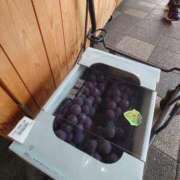 ヒメ日記 2025/08/18 13:06 投稿 ことり 洗練された極上ガール！ ウエスト・コム