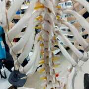 ヒメ日記 2025/08/24 01:21 投稿 ことり 洗練された極上ガール！ ウエスト・コム