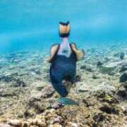 ヒメ日記 2025/08/24 01:51 投稿 ことり 洗練された極上ガール！ ウエスト・コム