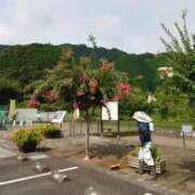 ヒメ日記 2025/08/27 07:46 投稿 ことり 洗練された極上ガール！ ウエスト・コム