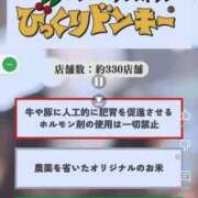 ヒメ日記 2025/08/28 13:16 投稿 ことり 洗練された極上ガール！ ウエスト・コム