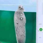 ヒメ日記 2025/08/30 00:46 投稿 ことり 洗練された極上ガール！ ウエスト・コム