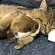 ヒメ日記 2025/08/30 02:26 投稿 ことり 洗練された極上ガール！ ウエスト・コム