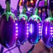 ヒメ日記 2025/09/04 00:06 投稿 ことり 洗練された極上ガール！ ウエスト・コム