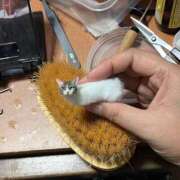 ヒメ日記 2025/09/04 15:16 投稿 ことり 洗練された極上ガール！ ウエスト・コム