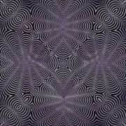 ヒメ日記 2025/10/17 02:12 投稿 ことり 洗練された極上ガール！ ウエスト・コム