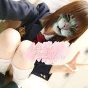 ヒメ日記 2025/10/17 14:35 投稿 ことり 洗練された極上ガール！ ウエスト・コム