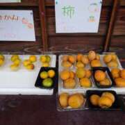 ヒメ日記 2025/10/27 01:25 投稿 ことり 洗練された極上ガール！ ウエスト・コム