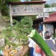 ヒメ日記 2025/11/01 09:02 投稿 ことり 洗練された極上ガール！ ウエスト・コム