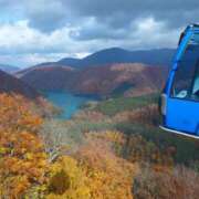 ヒメ日記 2025/11/14 00:31 投稿 ことり 洗練された極上ガール！ ウエスト・コム