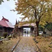 ヒメ日記 2025/11/14 13:17 投稿 ことり 洗練された極上ガール！ ウエスト・コム