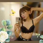 ヒメ日記 2025/11/14 17:12 投稿 ことり 洗練された極上ガール！ ウエスト・コム