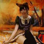 ヒメ日記 2025/11/16 09:55 投稿 ことり 洗練された極上ガール！ ウエスト・コム