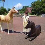 ヒメ日記 2025/11/17 11:19 投稿 ことり 洗練された極上ガール！ ウエスト・コム